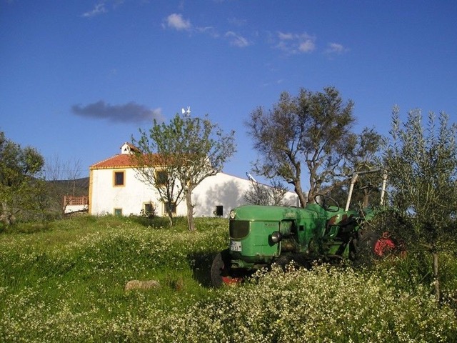 POMARINHOportugal alentejo 60 kopie