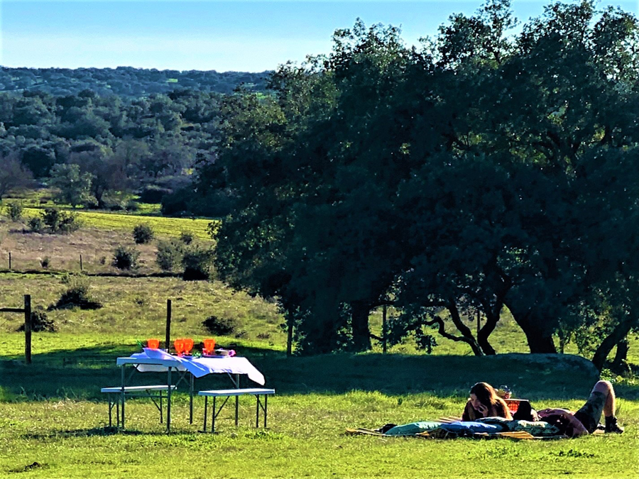 Camping Puro Alentejo