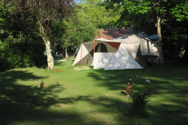 chooks 3 kopie